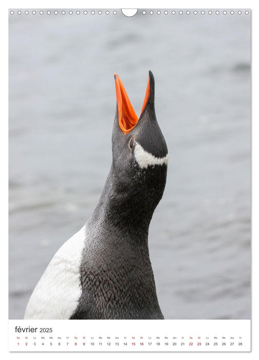 Antarctique des oiseaux de légende (CALVENDO Calendrier mensuel 2025)