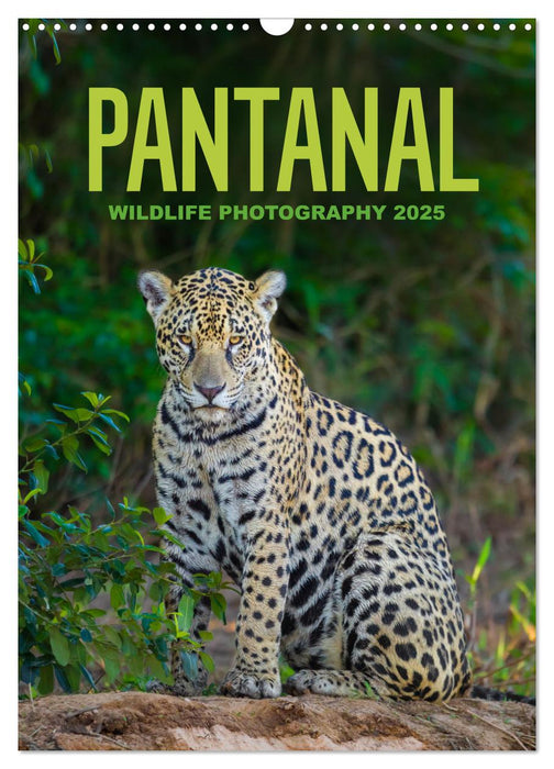 Pantanal Wildlife Photography (CALVENDO Monthly Calendar 2025)