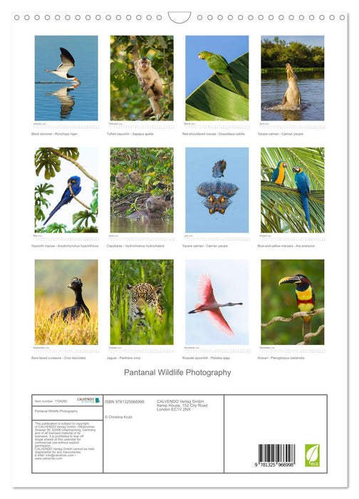 Pantanal Wildlife Photography (CALVENDO Monthly Calendar 2025)