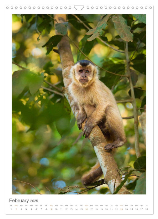 Pantanal Wildlife Photography (CALVENDO Monthly Calendar 2025)