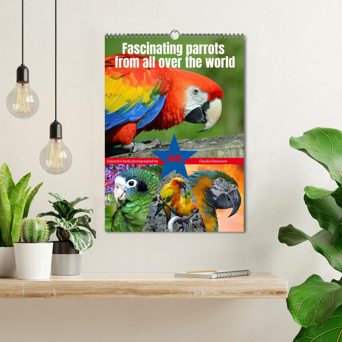 Fascinating parrots from all over the world (CALVENDO Monthly Calendar 2025)