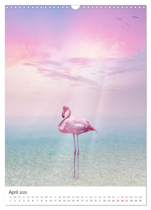 Flamingo and the sea (CALVENDO Monthly Calendar 2025)