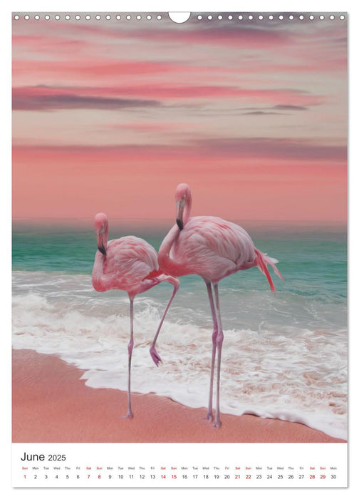 Flamingo and the sea (CALVENDO Monthly Calendar 2025)