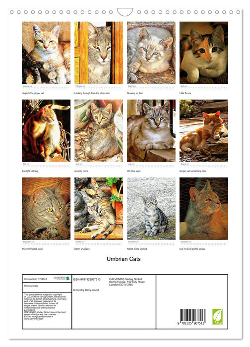 Umbrian Cats (CALVENDO Monthly Calendar 2025)