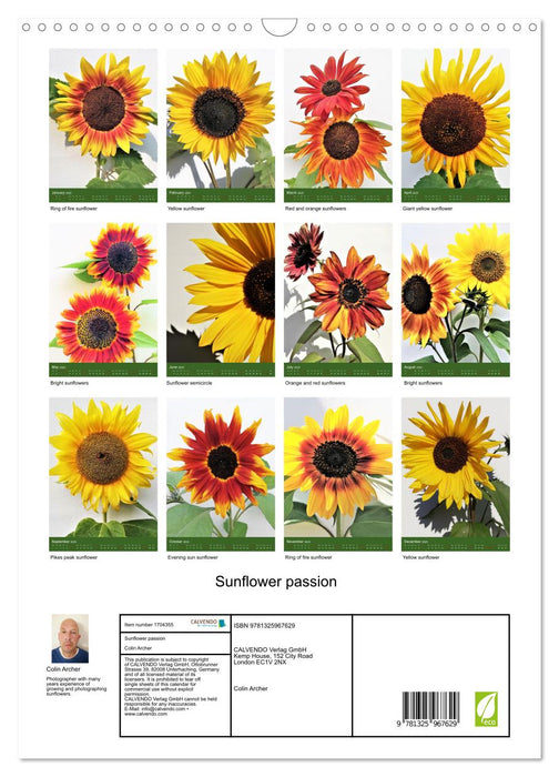 Sunflower passion (CALVENDO Monthly Calendar 2025)