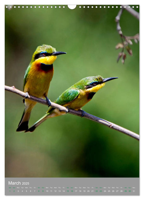 Wildlife of the Masai Mara (CALVENDO Monthly Calendar 2025)