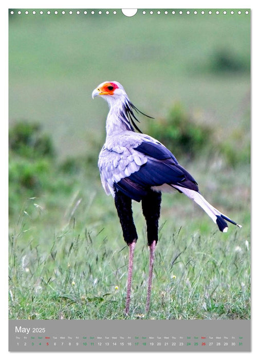 Wildlife of the Masai Mara (CALVENDO Monthly Calendar 2025)