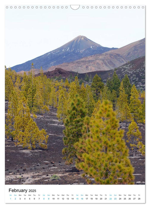 Tenerife - The volcanic island (CALVENDO Monthly Calendar 2025)