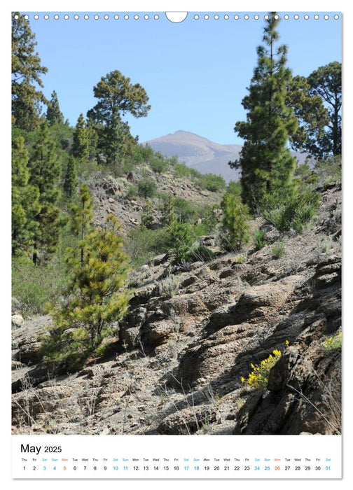 Tenerife - The volcanic island (CALVENDO Monthly Calendar 2025)