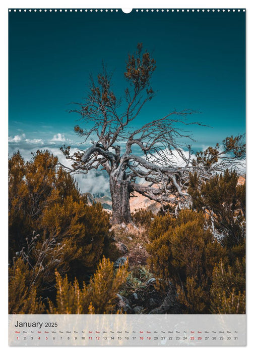 The Flower Island Madeira (CALVENDO Monthly Calendar 2025)