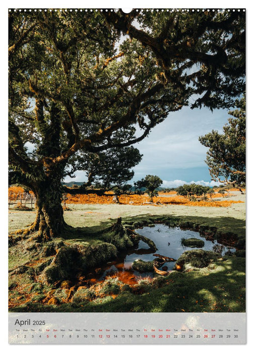 The Flower Island Madeira (CALVENDO Monthly Calendar 2025)