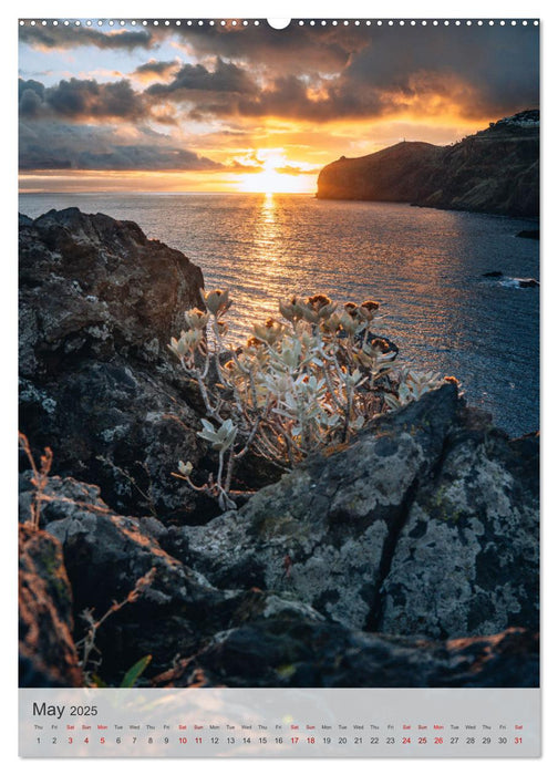 The Flower Island Madeira (CALVENDO Monthly Calendar 2025)