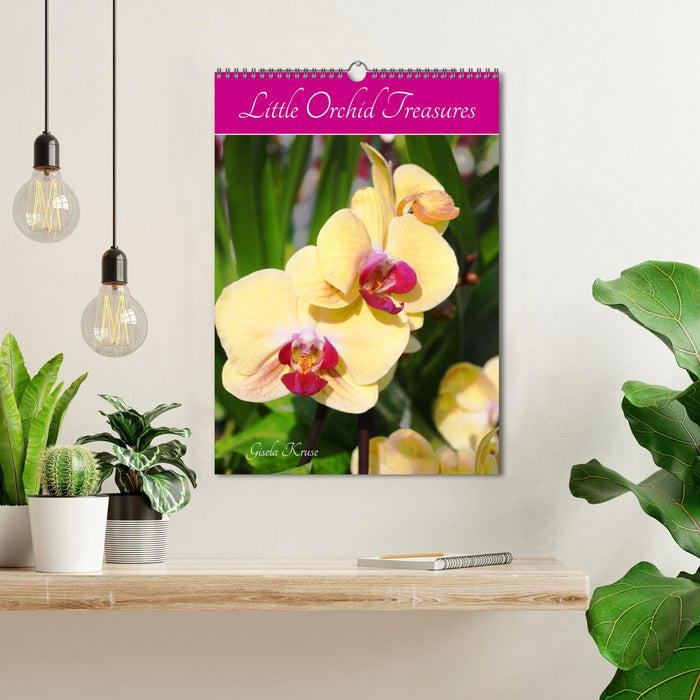 Little Orchid Treasures (CALVENDO Monthly Calendar 2025)