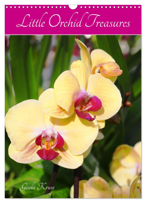 Little Orchid Treasures (CALVENDO Monthly Calendar 2025)