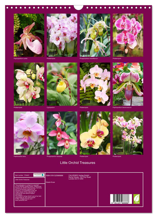 Little Orchid Treasures (CALVENDO Monthly Calendar 2025)