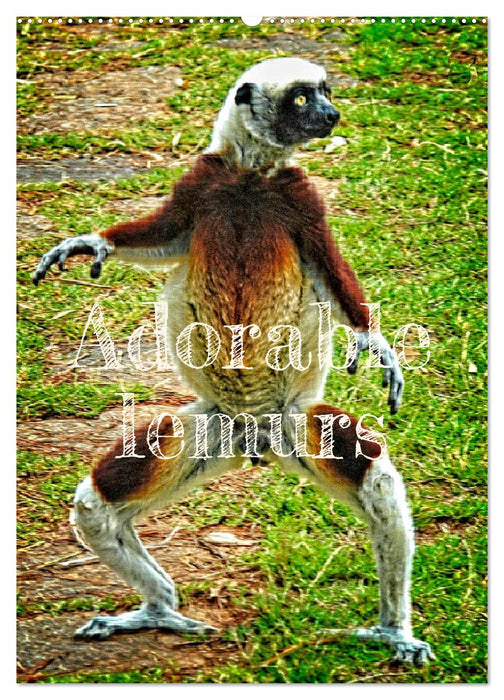 Adorable lemurs (CALVENDO Monthly Calendar 2025)