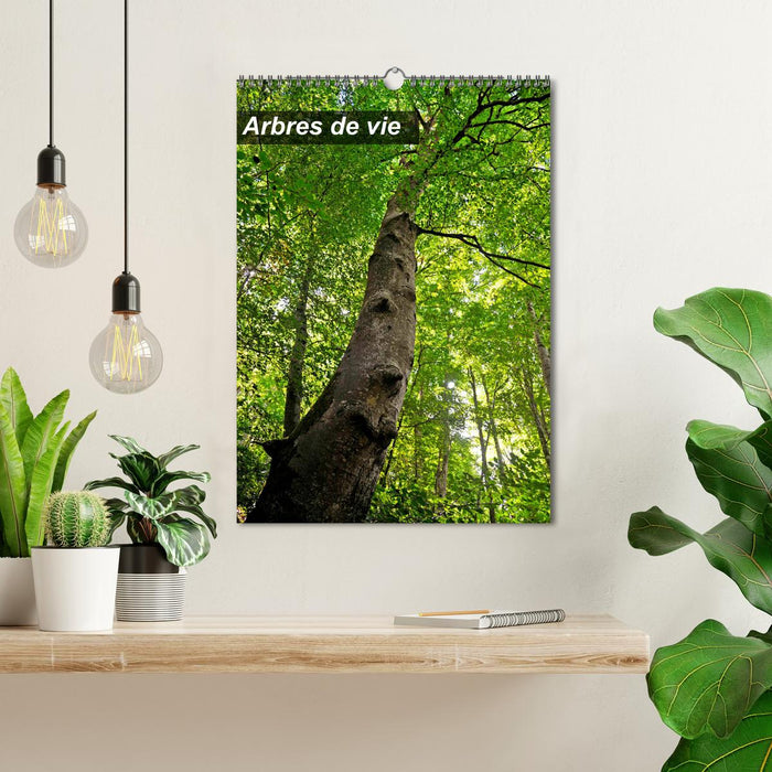 Arbres de vie (CALVENDO Calendrier mensuel 2025)