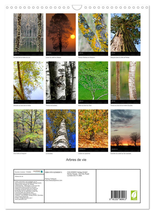 Arbres de vie (CALVENDO Calendrier mensuel 2025)