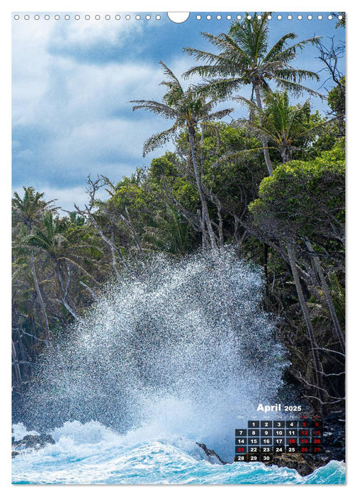 Beautiful Hawaii (CALVENDO Monthly Calendar 2025)