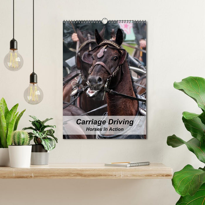 Carriage Driving - Horses in Action (CALVENDO Monthly Calendar 2025)