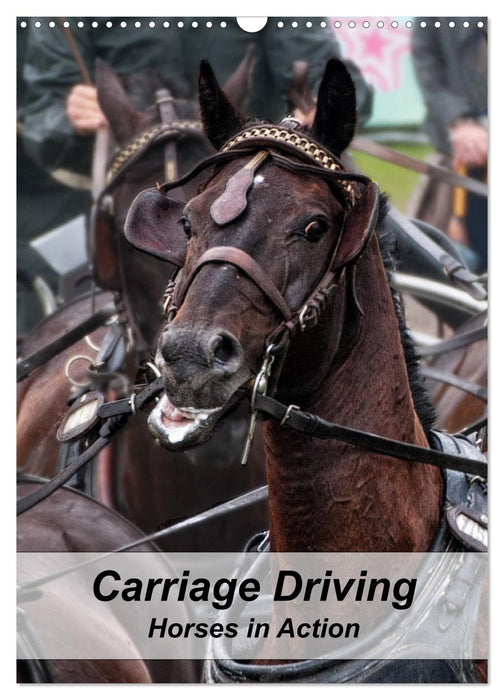 Carriage Driving - Horses in Action (CALVENDO Monthly Calendar 2025)