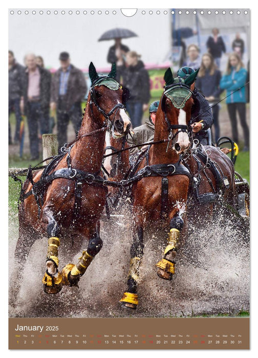 Carriage Driving - Horses in Action (CALVENDO Monthly Calendar 2025)