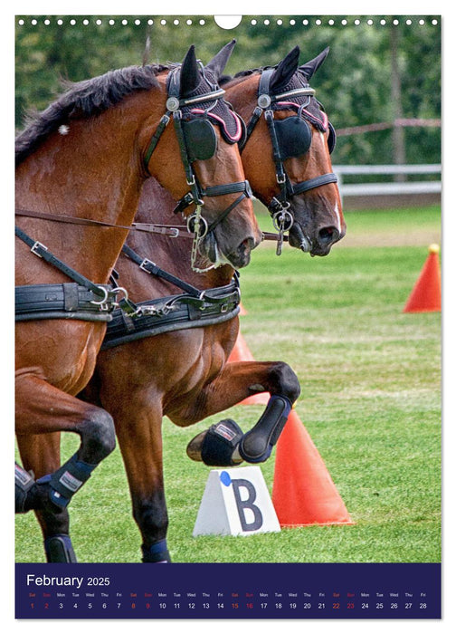 Carriage Driving - Horses in Action (CALVENDO Monthly Calendar 2025)