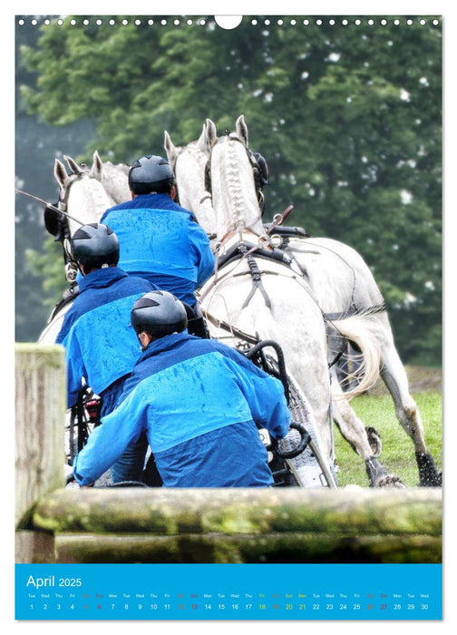 Carriage Driving - Horses in Action (CALVENDO Monthly Calendar 2025)