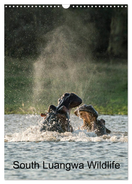 South Luangwa Wildlife (CALVENDO Monthly Calendar 2025)