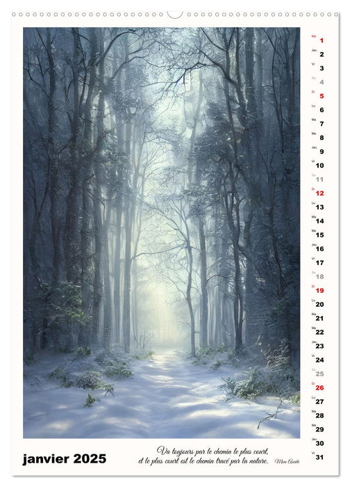 Chemins de fantaisie (CALVENDO Calendrier supérieur 2025)