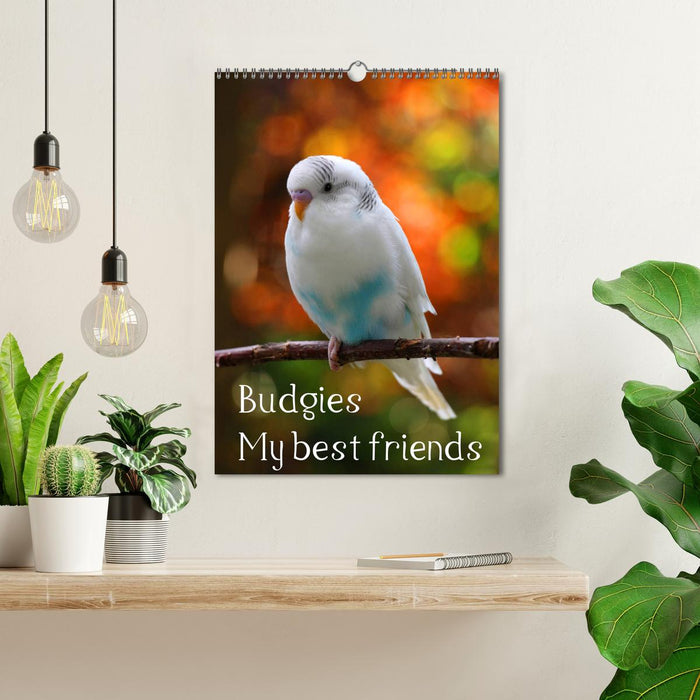 Budgies - my best friends (CALVENDO Monthly Calendar 2025)