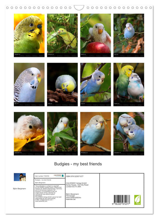 Budgies - my best friends (CALVENDO Monthly Calendar 2025)