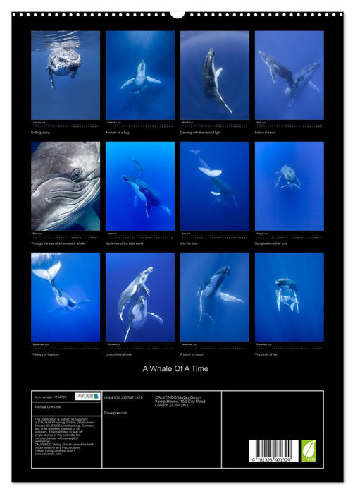 A Whale Of A Time (CALVENDO Premium-Calendar 2025)