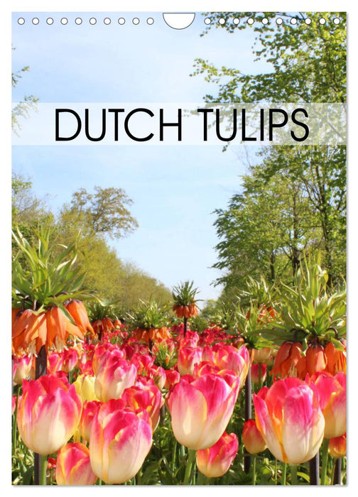 Dutch Tulips (CALVENDO Monthly Calendar 2025)