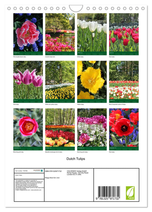 Dutch Tulips (CALVENDO Monthly Calendar 2025)