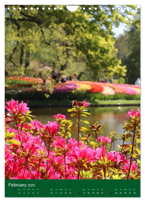 Dutch Tulips (CALVENDO Monthly Calendar 2025)