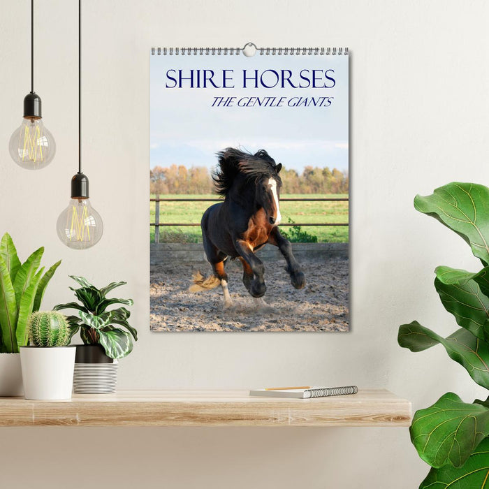 Shire Horses The Gentle Giants (CALVENDO Monthly Calendar 2025)