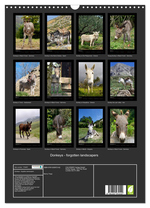 Donkeys - forgotten landscapers (CALVENDO Monthly Calendar 2025)