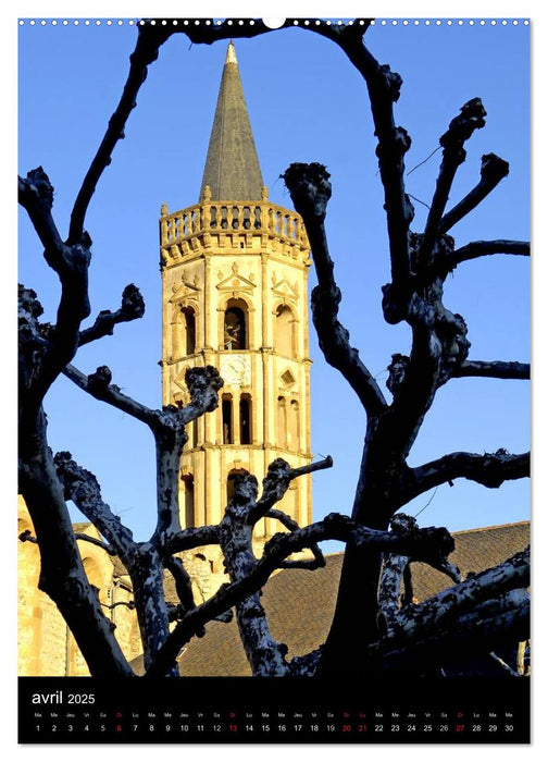 Un arbre dans la ville (CALVENDO Calendrier supérieur 2025)