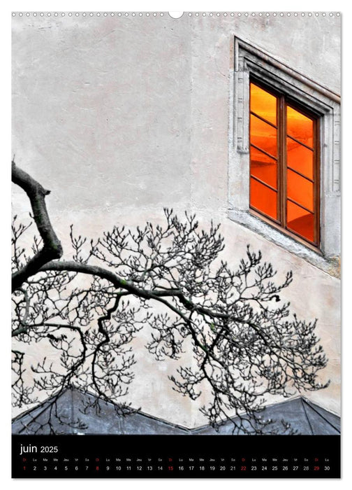 Un arbre dans la ville (CALVENDO Calendrier supérieur 2025)