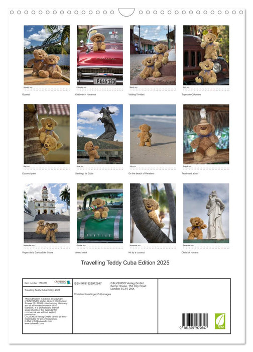 Travelling Teddy Cuba Edition 2025 (CALVENDO Monthly Calendar 2025)