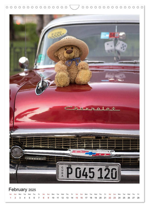 Travelling Teddy Cuba Edition 2025 (CALVENDO Monthly Calendar 2025)