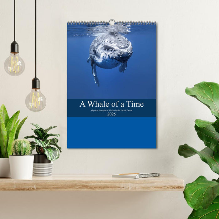 A Whale Of A Time (CALVENDO Monthly Calendar 2025)