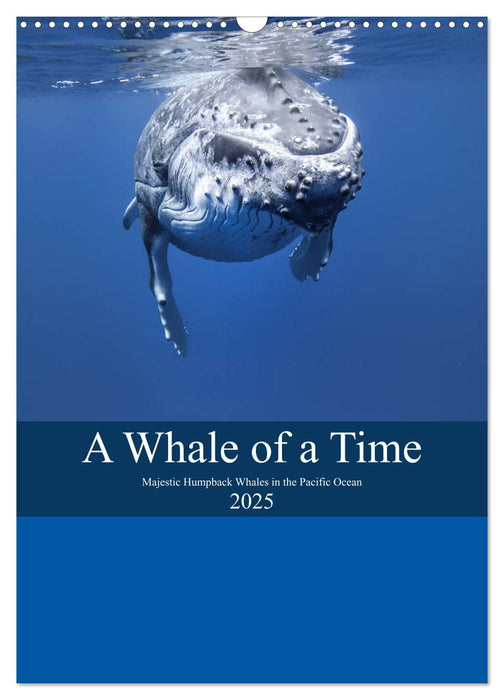 A Whale Of A Time (CALVENDO Monthly Calendar 2025)