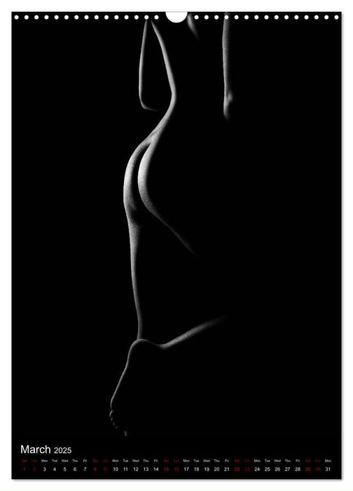 erotic shadows 2025 (CALVENDO Monthly Calendar 2025)