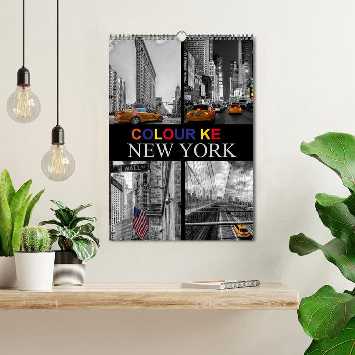 Colour Key in New York (CALVENDO Monthly Calendar 2025)