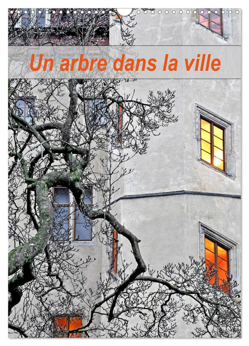 Un arbre dans la ville (CALVENDO Calendrier mensuel 2025)