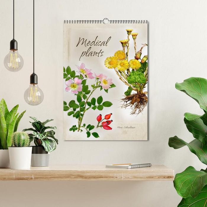 Medical plants (CALVENDO Monthly Calendar 2025)