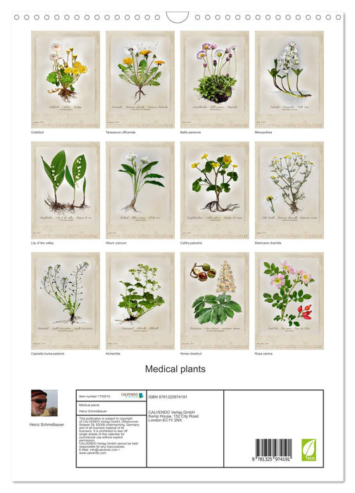 Medical plants (CALVENDO Monthly Calendar 2025)