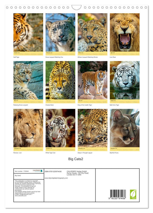 Big Cats2 (CALVENDO Monthly Calendar 2025)